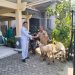 PT DESI pabrik pengolah limbah terbesar di Indonesia melalukan CSR berupa penyerahan kambing kurban ke desa sekitar