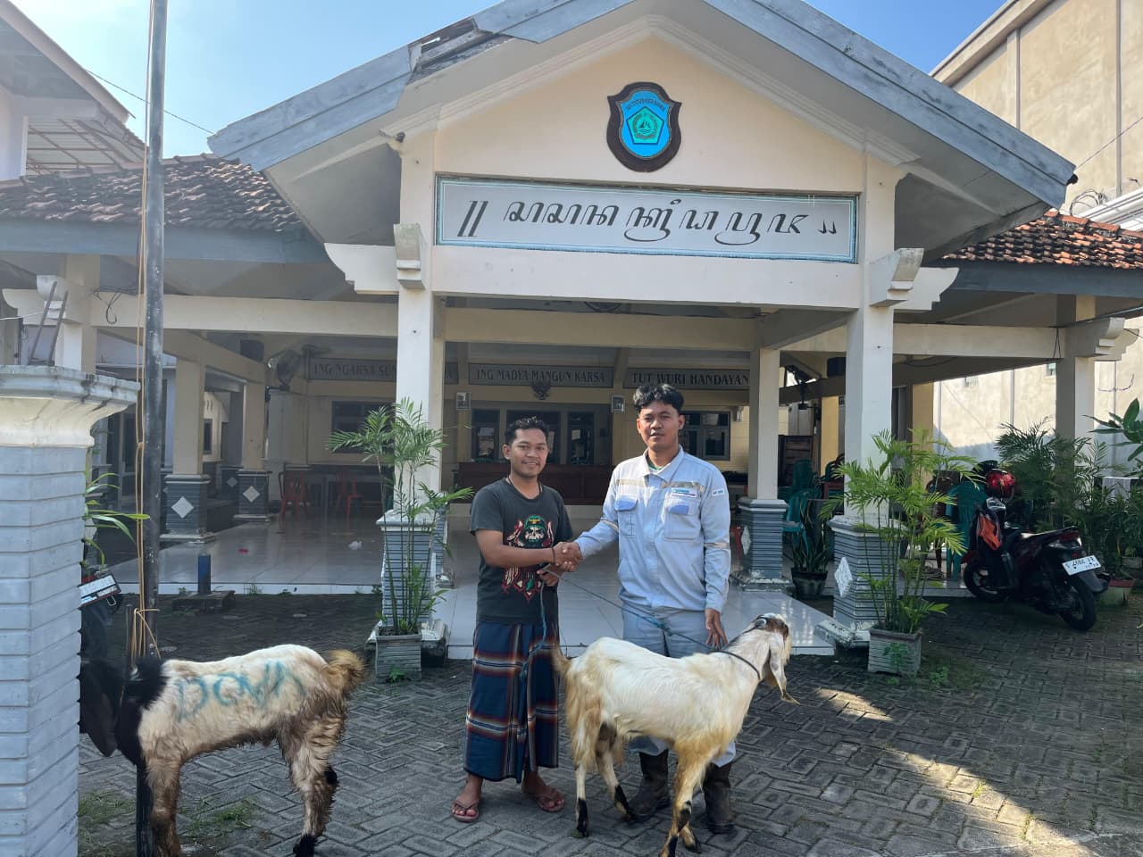 Program CSR Idul Adha: PT DESI Bagikan Kambing untuk Warga Sidoarjo hingga Brondong